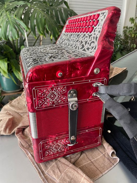 Vendo Concertina como Nova Pouco Uso E’ Uma Super Organola Semi Nova