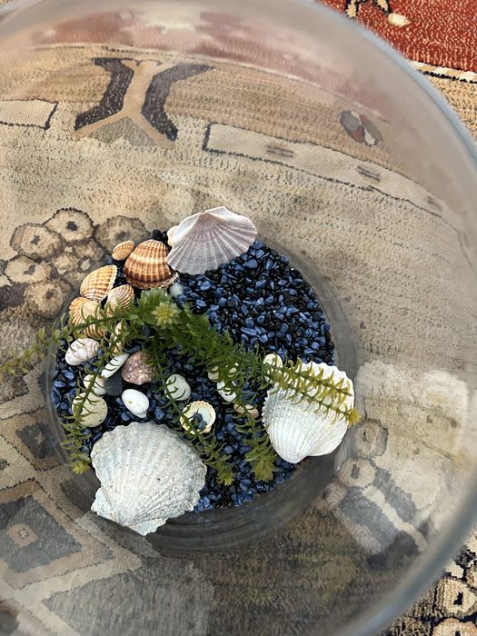 Aquário em Vidro com Decoração