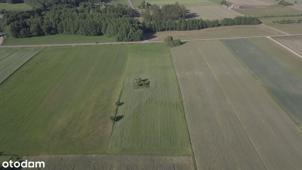 Działka, Łubianka