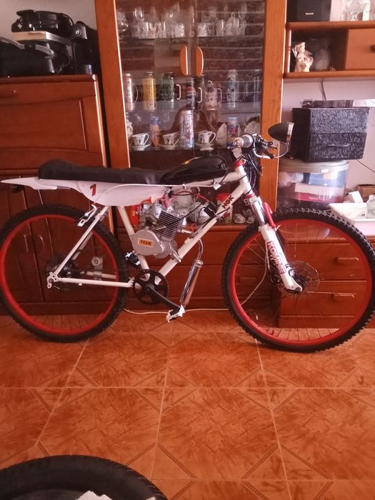 Bicicleta motorizada