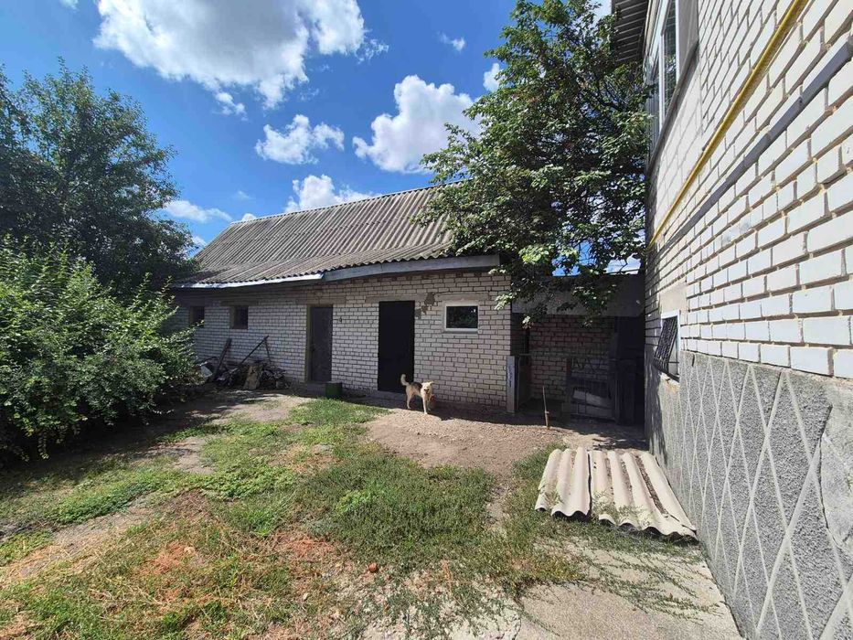 Продаж великого будинку с.Голубівка