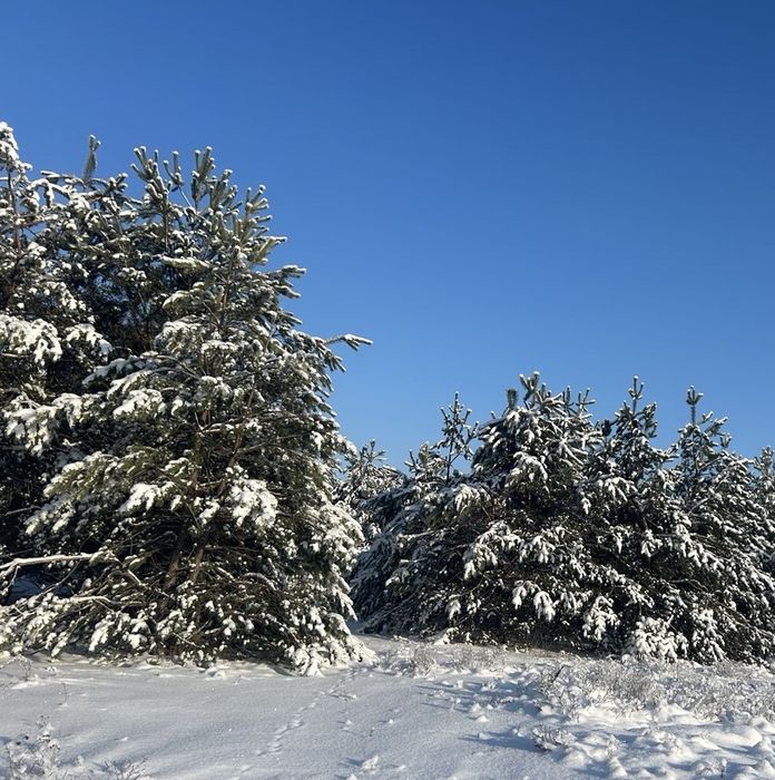 Земельна ділянка 3,6 Га! Колонщина!