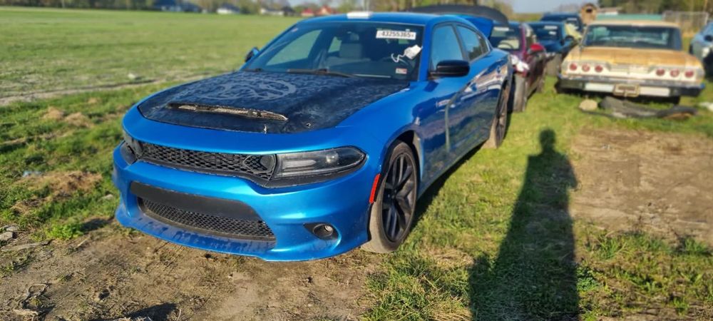 Dodge Charger 2019r. Dodge Charger SXT SRT 3.6 V6 Kot!!! NA MIEJSCU