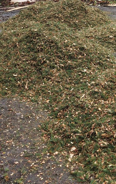 Biomassa - adubo natural