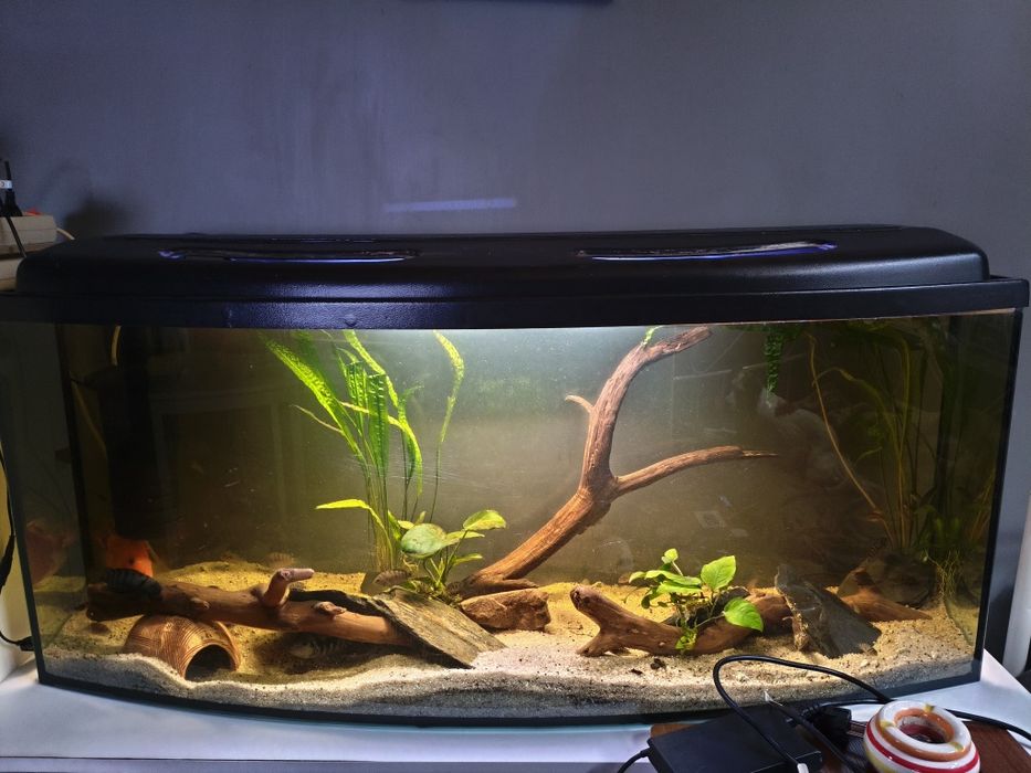 Akwarium 240 l z osprzętem