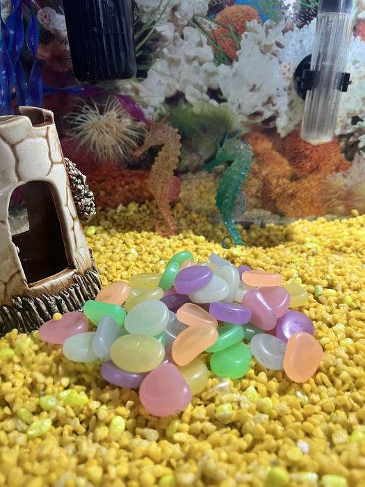 Грут жовтий в акваріум, тераріум!