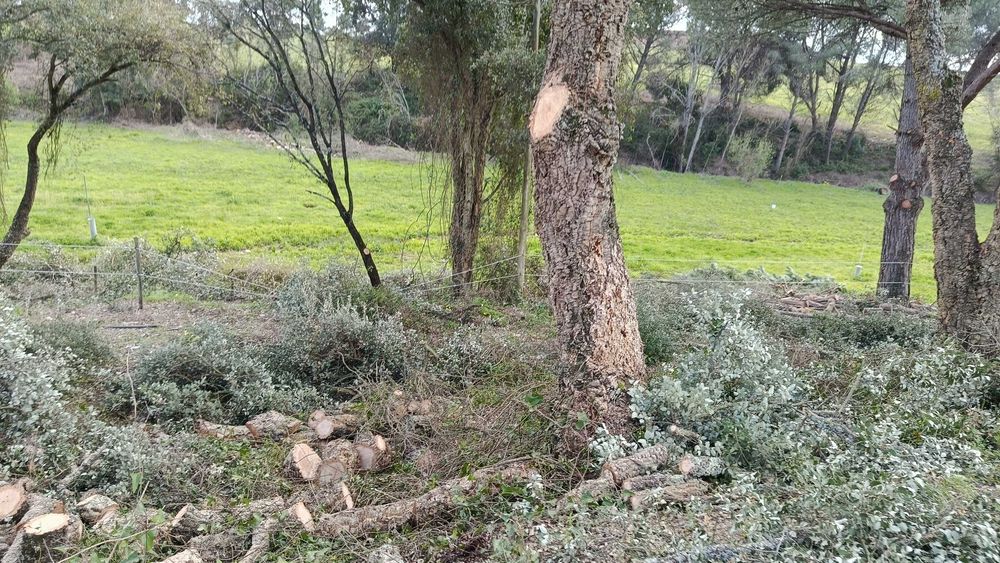 Vende-se barracao potencial para habitação