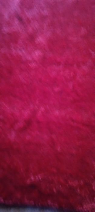 Carpete de sala 60€