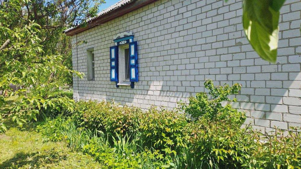 Продається  будинок село Курінь, Чернігівська область