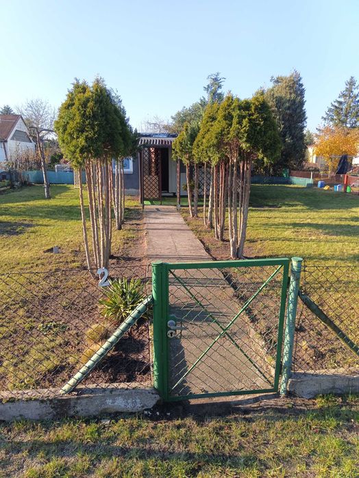 Działka ROD Storczyk / FILMY / 300 m2 / INWALIDÓW / Domek WC Prąd Woda