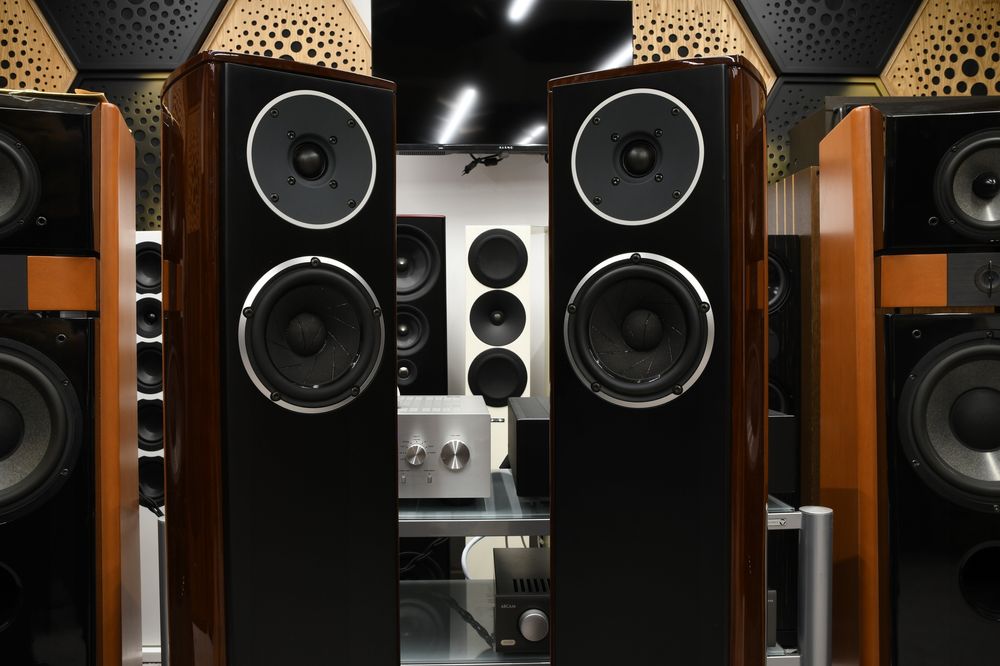 Kolumny Głośnikowe podłogowe stereo kolumny System Audio Pandion 20
