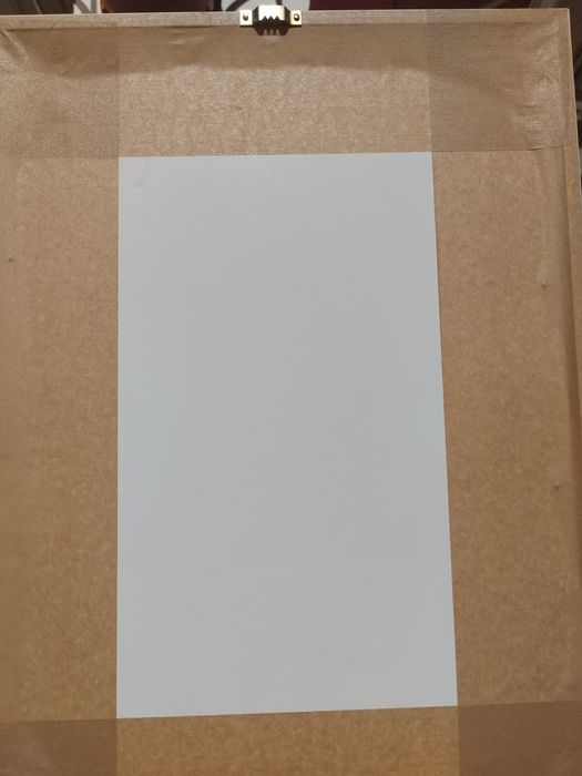 dois quadros "papagaios" pintados a mão, assinados