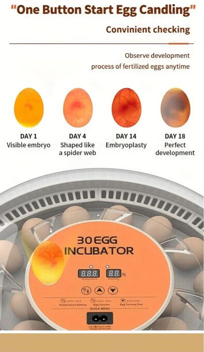 Інкубатор автоматичний