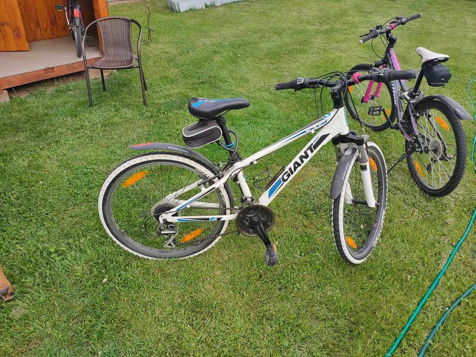 Rower górski GIANT lub AUTHOR koła 24 cale