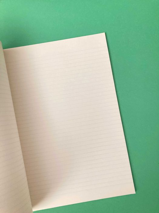 Colecção de 3 Cadernos Escolares Pin Up Girls da Ambar Anos 80