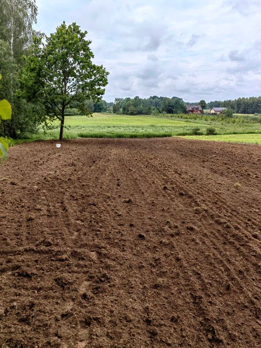 DZIAŁKA z Warunkami Zabudowy 31a