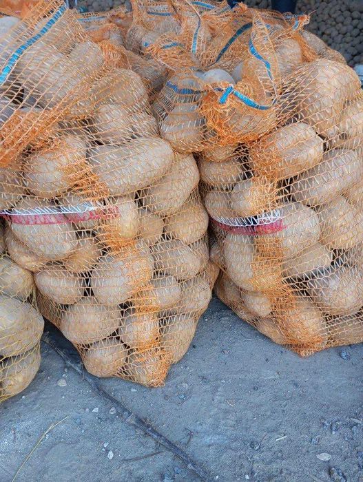 Ziemniaki soraja 15 kg