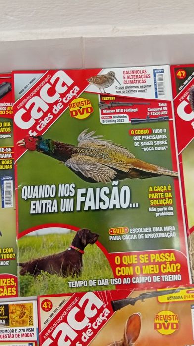 Revistas de caça e cães de caça