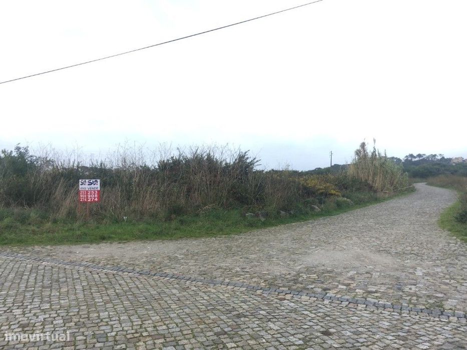 Terreno Agrícola - Carreço