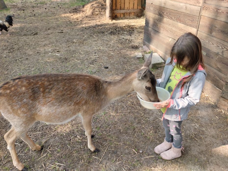 Daniele zdrowe zadbane