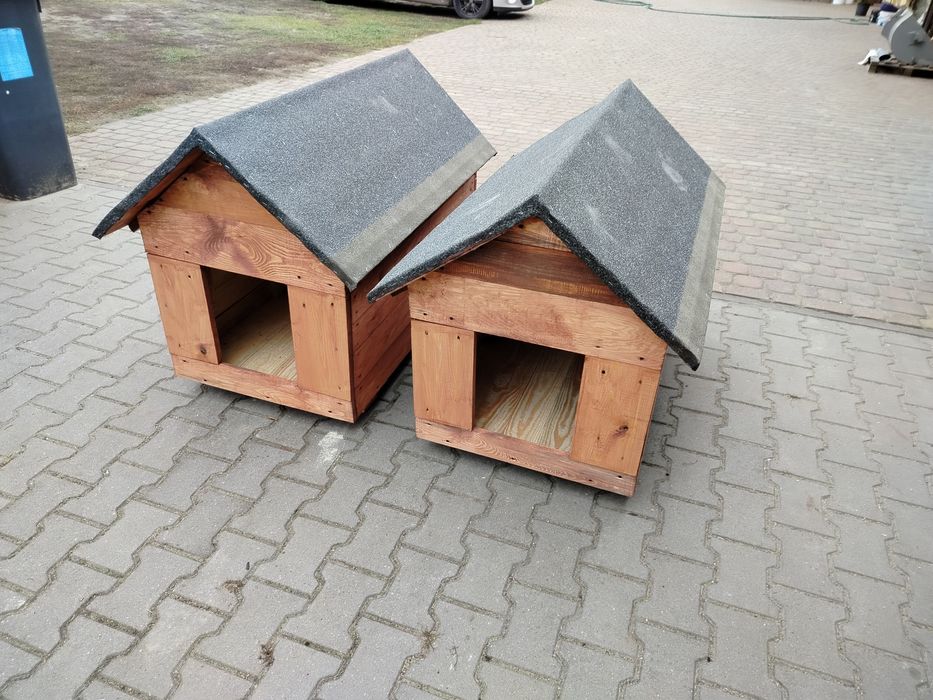 Buda dla psa solidna