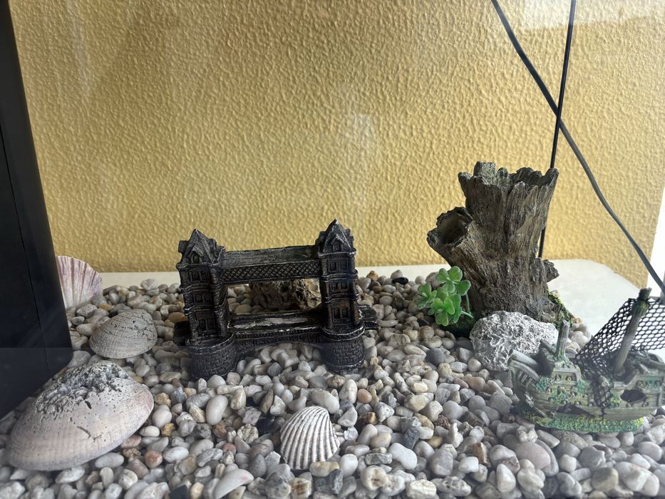 Aquário Aquatlantis completo (50L)+ todos os acessórios