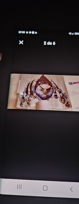 Autocolantes para autocaravana