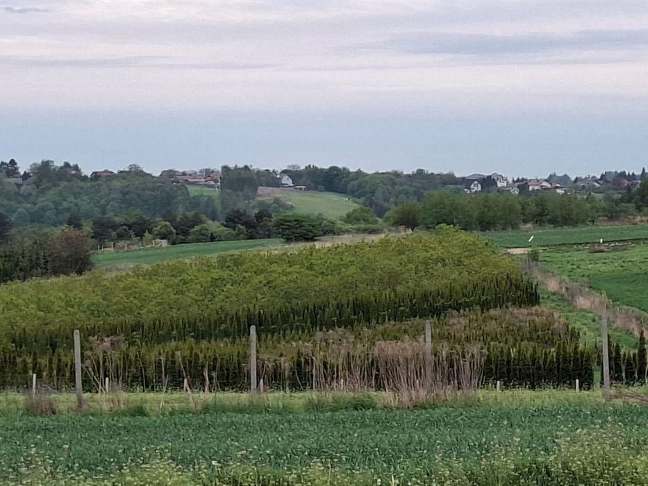 Ogródki działkowe na wynajem