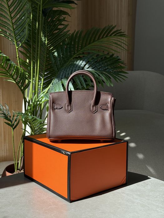 Сумка Hermes Birkin 20 Brown/Gold