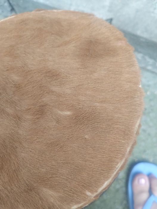 Orginalny Afrykański bęben