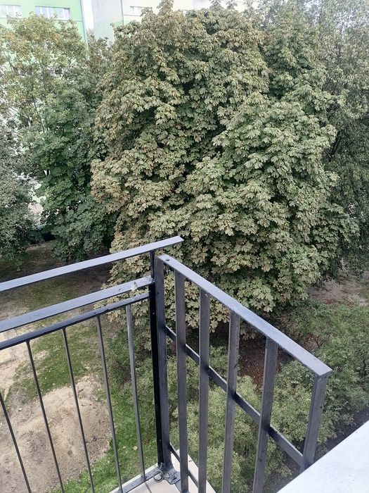 Zdjęcie 8