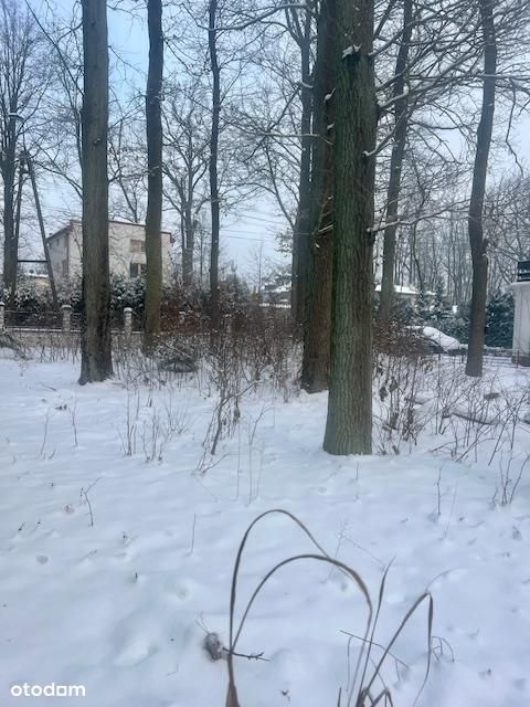 Działka w Wesołej ze starodrzewiem