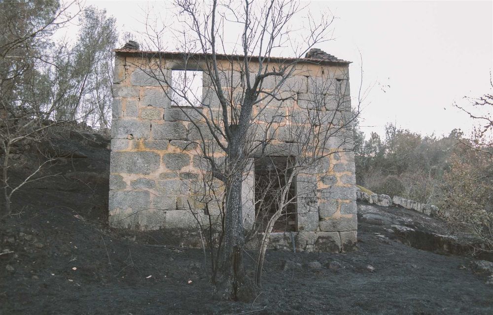 Quinta com ruina para recuperar! 1.3hec farm with granit house (ruin) Offgrid (Oliveira do Hospital)