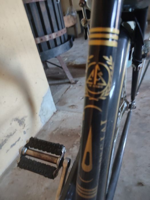 Bicicleta pasteleira EFS