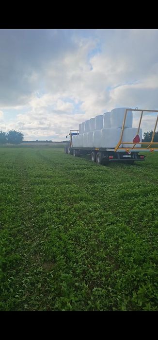 Sianokiszkonka z koniczyny i lucerny