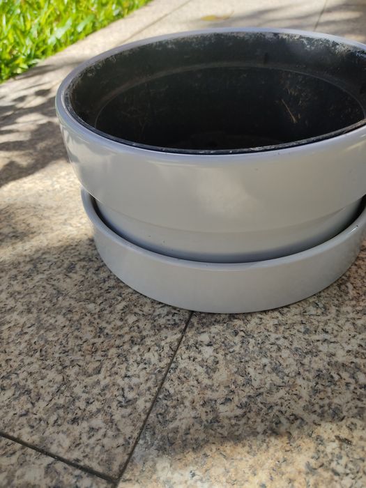 Vaso para bonzai
