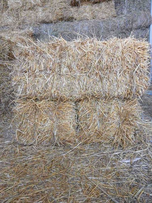 Солома  пшенична
