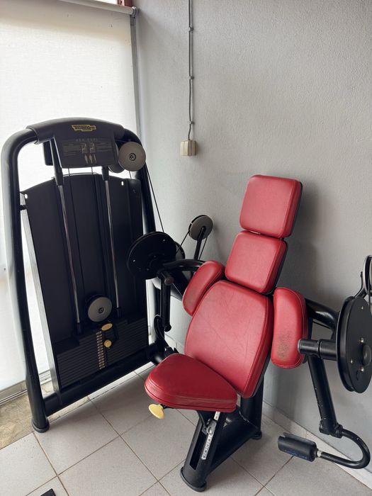 Maquina Bicipite Tecnogym