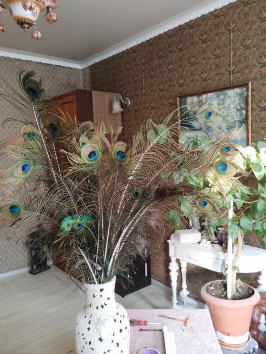 Продам букет из пера павлина.