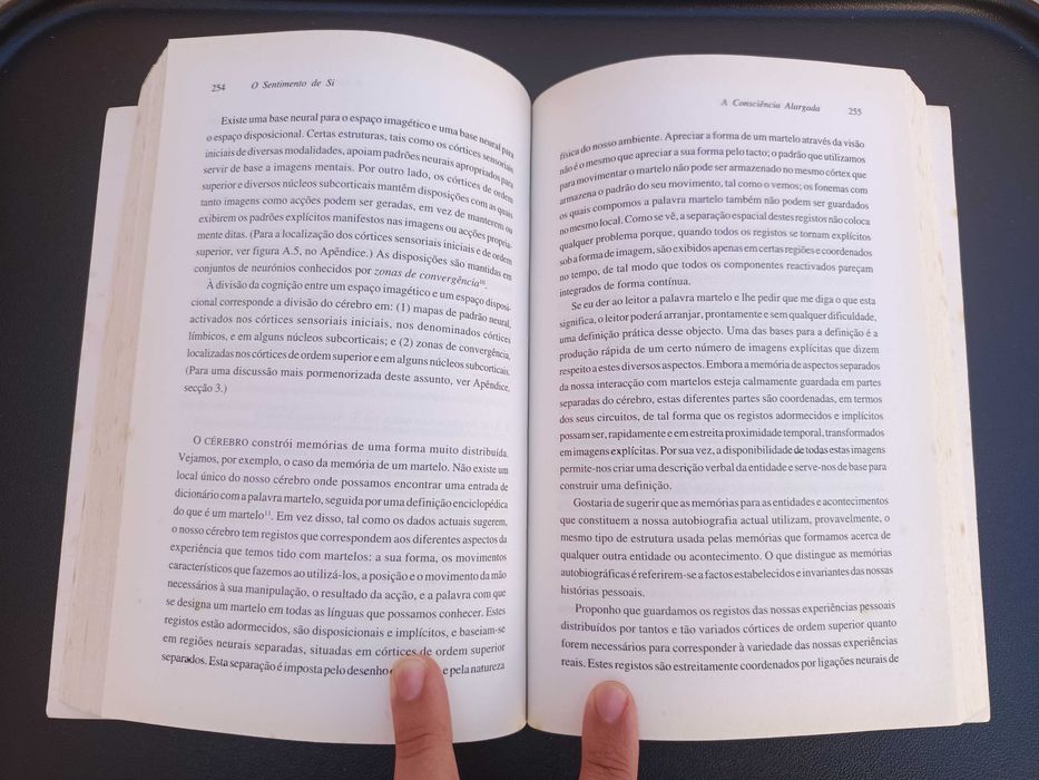 Livro "Os Sentimentos de Si", de António Damásio
