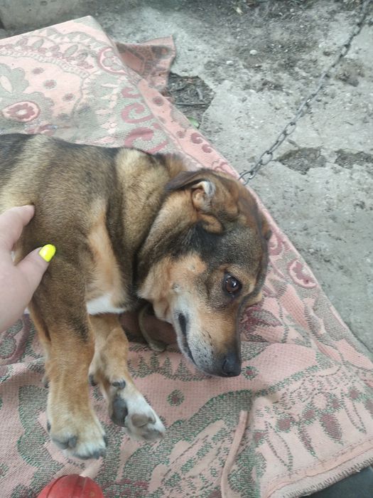 Почти нет чем кормить