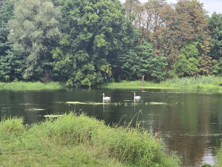 Działki budowlane blisko zalewu Nowe Miasto - Widok 2