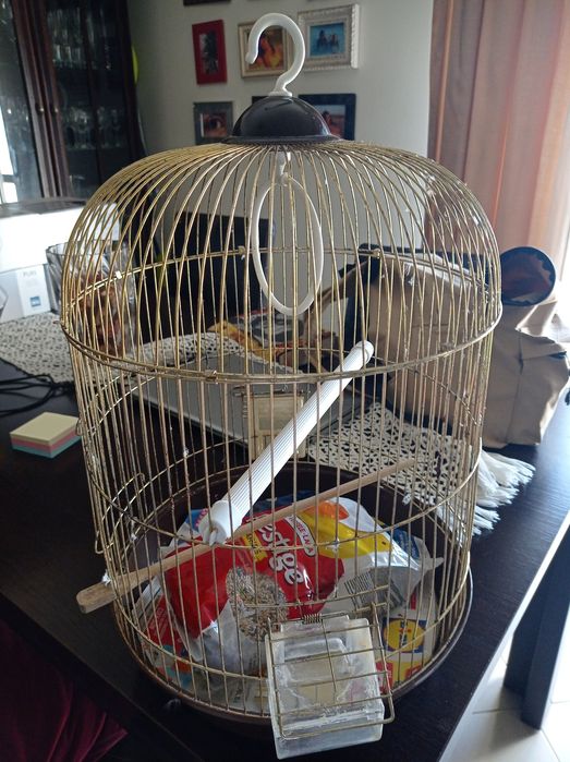 Gaiola para canários em excelente estado  com oferta de 1kg de ração