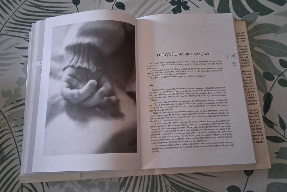 Livro "Guia prático da Gravidez"