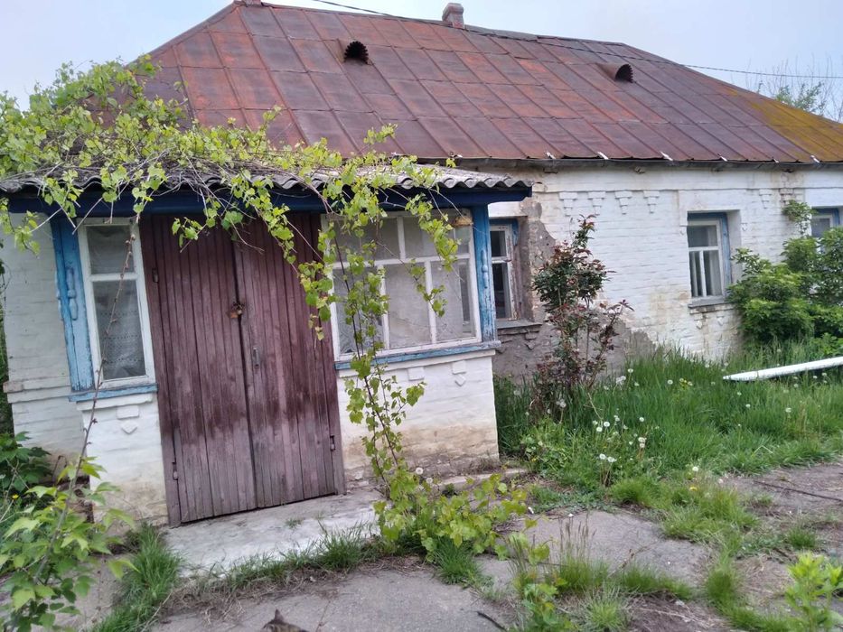 Продам будинок, садибу,хату, дачу  в селі Шапіївка  під Сквирою