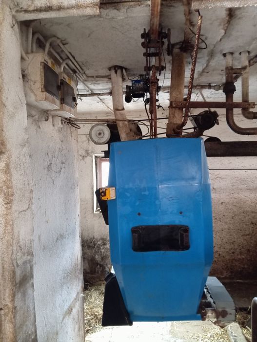 Robot paszowy pellon