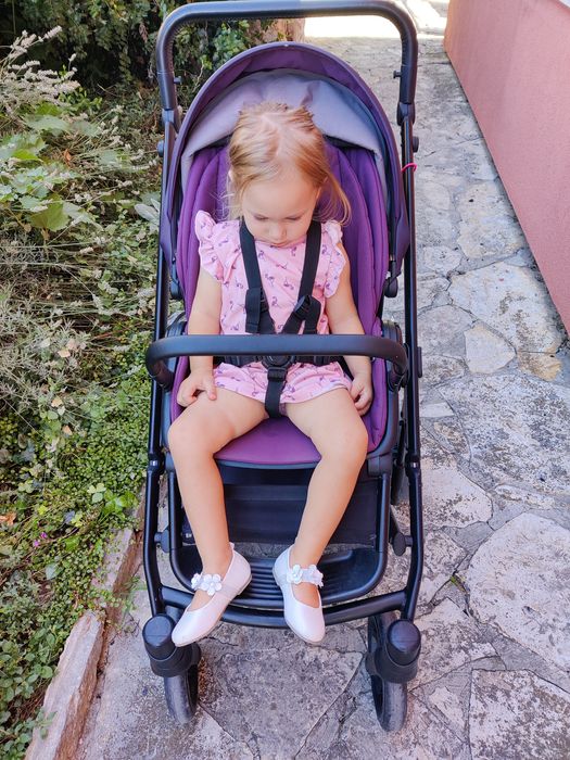 Коляска Anex e-type