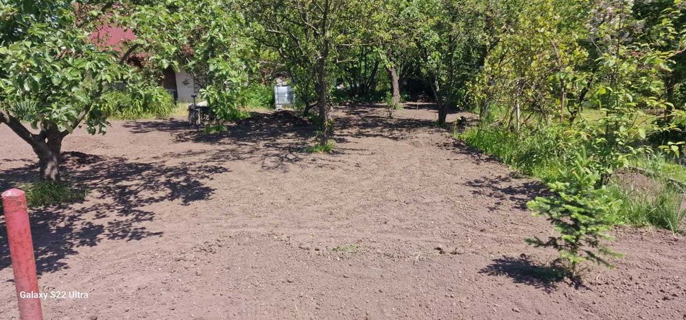 Wycinka drzew krzewów i inne prace ogrodowe, remonty, prace ziemne.