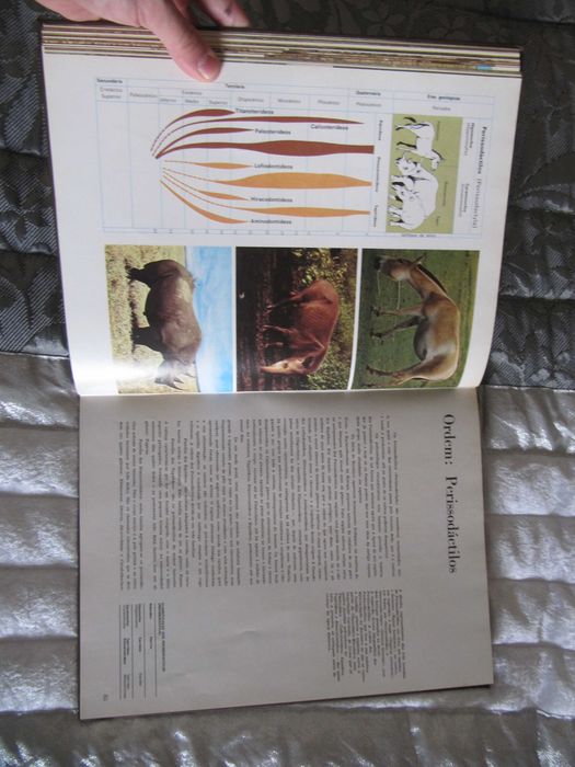 Enciclopédia- Fauna e Animais Selvagens-Alfa -Coleção COMPLETA 16 vols