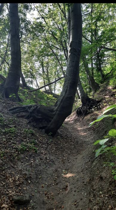 Domek nad samym morzem Jastrzębia Góra Biały